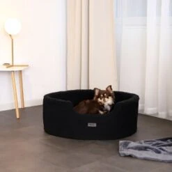 Lionto Hundebett Mit Wendekissen Schwarz S 12 Lionto Hundebett Mit Wendekissen Schwarz S -Ruffwear Geschaft e65a0fafa76be39a9d72d1a7e586554b3607107a 1658052 de DE 10221fa024b1adbc4d1f6f524ff2d284fe3c74c1eyWTaA