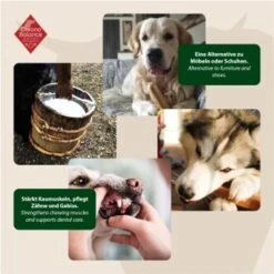 ChronoBalance Kuhmilch Käsestick Für Hunde 65 G -Ruffwear Geschaft e6a87c905a2cea9bcf698f1efe84fa448df25310 1409631 de DE ad3c3860dd1f5c0542b042c1c87b5544be17d6b0QR3AYw