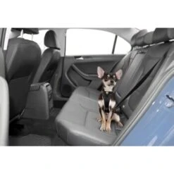 Kurgo Sicherheitsgeschirr XS 10 Kurgo Sicherheitsgeschirr XS -Ruffwear Geschaft e74c62cf91c66685c2ae44f614f5483319a6b64d 40a5aede9e28b853f6101b01efbceb51af60aae4