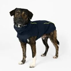 THE DOG IDEA Regenmantel Duke Navy XXXS -Ruffwear Geschaft ea00da11be84052a9bd95ce1f2727678ed1be4f4 1473009 de DE ac44302b2919bae198c186891f7199cadbe8fe207lh60I