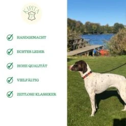 Kipita Polo Hundeleine Lively -Ruffwear Geschaft ec2a1ce9d03ac52b6ee730c49c20a83c372f273d 1410956 de DE a80600e4efde3a225fa3cf1a3c1d2fd853aec6908O2oVf