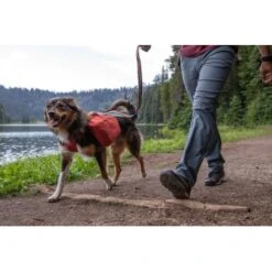 Ruffwear Front Range™ Hundetagesrucksack Rot XS -Ruffwear Geschaft ecc2342d30f723199676137e5ad8c45ad3ce0796 1639836 de DE fe8e077ce41ec4d12619357e7402d2ee7ca63fed0L7PK6