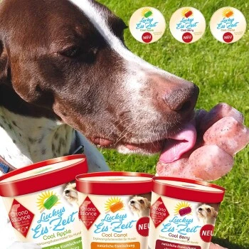 ChronoBalance Hundeeis Zum Selbermachen 3 Sorten 4 ChronoBalance Hundeeis Zum Selbermachen 3 Sorten – Bild 2