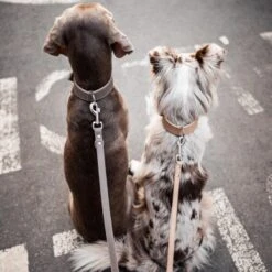 Freudentier Führleine Aus Leder Braun/ Grau 2 Cm -Ruffwear Geschaft ed7363242b5af0aeac560375765364d8d1a9d7ca 1421435 de DE d40365deffc471619a8891f2d10bbb6785191840MHr5Vx