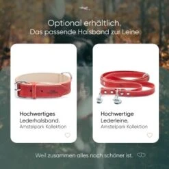 Freudentier Gefüttertes Halsband Aus Leder Rot L -Ruffwear Geschaft edbbec2203d36f9f92e63e25e5dac1465e2212f9 1655241 de DE f27ae6c917577706d4abf31813f6f4ca38005295rnxmmc