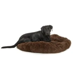 Wallace & Jones Plüschbett Sarnia M Braun 15 Wallace & Jones Plüschbett Sarnia M Braun -Ruffwear Geschaft eded511b68ed9015eaff2077a6b669002854f714 1371486 de DE fd86e10898f57e8b7bd22cdaddd6a5923d7b28e2iGVWqQ