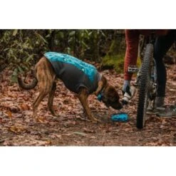 Ruffwear Climate Changer™ Fleece-Pullover Für Hunde Blau/ Türkis/ Schwarz L 15 Ruffwear Climate Changer™ Fleece-Pullover Für Hunde Blau/ Türkis/ Schwarz L -Ruffwear Geschaft f0278758686072b3de8db4dff15f01e7bd9be42d 1369681 de DE 7c26093407b41d92f94ea8a16863ae7fb6f7f4e15PN7V3