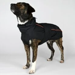 THE DOG IDEA Regenmantel Duke Schwarz XXXS -Ruffwear Geschaft f29242359df1a071e2aabe682ce26323da8fa9d3 1472973 de DE 2d3ce4b64373a26701d22a56596fd6822889f96dzbZU59