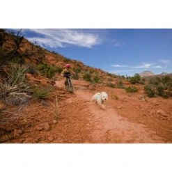 Ruffwear Swamp Cooler Zip™ Kühlweste Für Hunde Pink XL -Ruffwear Geschaft f39337d577f60e5d30ba5addfb811febecbc66e7 1639652 de DE 1ff9fca93caed68be3a65cc55ad0d154f81bf268suJpN2