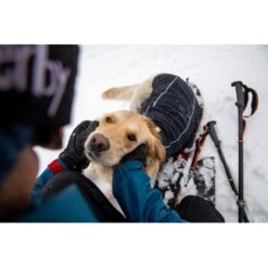 Ruffwear Cloud Chaser™ Hundejacke -Ruffwear Geschaft f46c67f8b7243d976f998e1877675b56fc87eab2 1369625 de DE 51d1c132eb566a7eb9e278708f64567d4e47a10epBiJRc