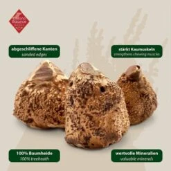 ChronoBalance Kauwurzel Baumheide (M) 2er Paket -Ruffwear Geschaft f97f60efcfff78cc60f7b0cb9b454de043b3bc44 1418714 de DE 7f5c8529b0ef5815ce0e8f89d9a5ef23e03b1c21rrSfDg