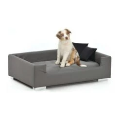 Silvio Design Hundesofa Candy Grau 5 Silvio Design Hundesofa Candy Grau -Ruffwear Geschaft fb44515f8fb7590037772c5d02170cf0c8d6e6ed b7a24e3feb2ffd63923fc9458143bbe5b908133d
