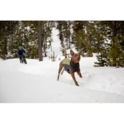 Ruffwear Climate Changer™ Fleece-Pullover Für Hunde Rot S -Ruffwear Geschaft fc22c2bf571467d3b4a13f07039506d1e744f556 1369661 de DE a9fba8eb5491b88489a9522880e926a6833ccfbe7NJDVr