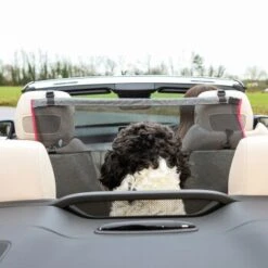 KONG Vordersitzbarriere -Ruffwear Geschaft ff5dbde9995c56c34bbe7bc5016592f3adbb7bc3 2f73ce2132082534f311b2977a78cc14a0a72f3e