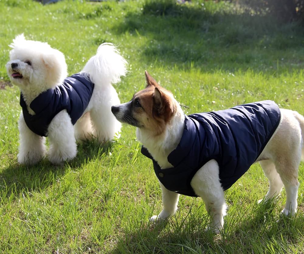 Ruffwear Geschaft 19 Ruffwear Geschaft -Ruffwear Geschaft 813mdsOkGBL. AC UF10001000 QL80