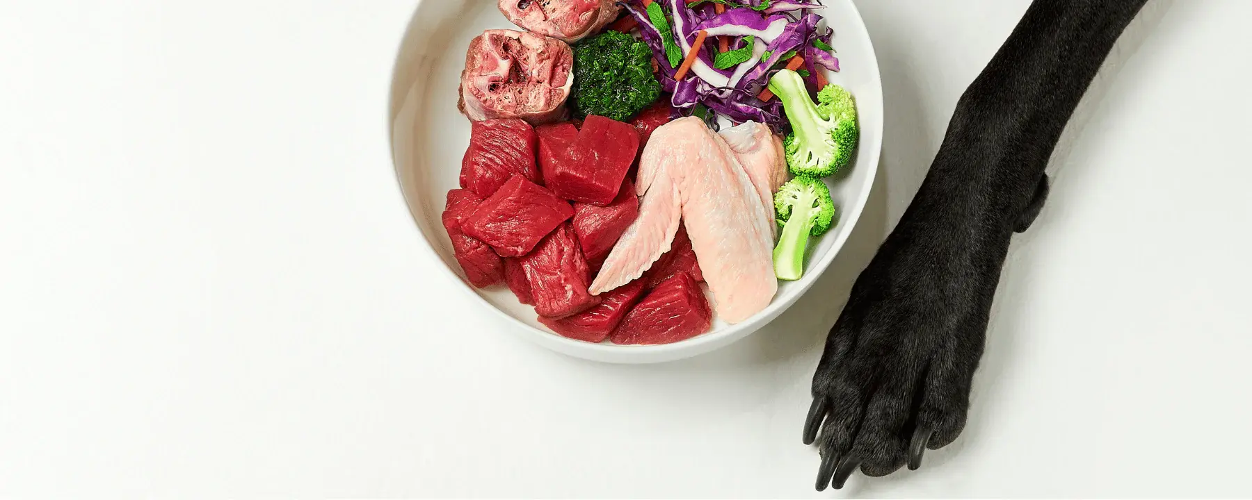 Ruffwear Geschaft 3 Ruffwear Geschaft -Ruffwear Geschaft Frostfutter BARF