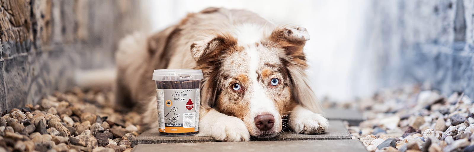 Ruffwear Geschaft 2 Ruffwear Geschaft -Ruffwear Geschaft header seo snacks hund hundefutter